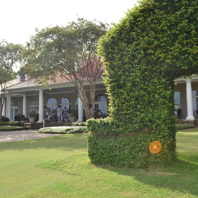 Outdoor Event